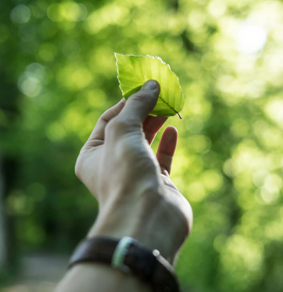 Bras tendu tenant une feuille