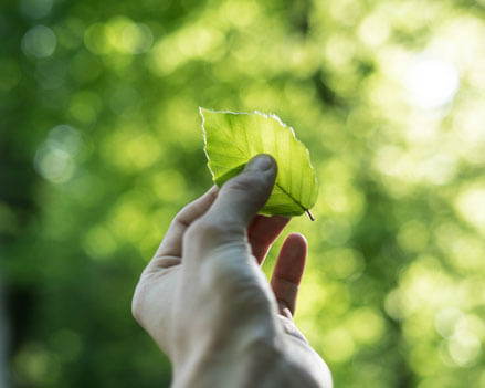 main qui tient une feuille